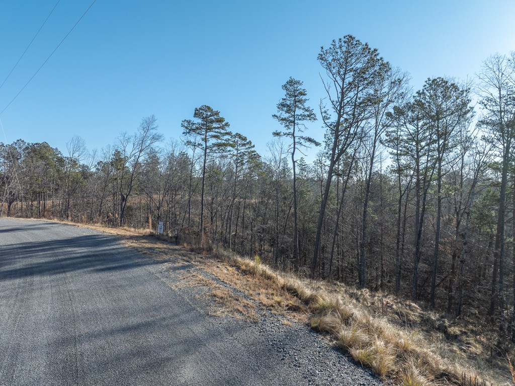 Lot 244 Spear Point Dr Property Photo 6