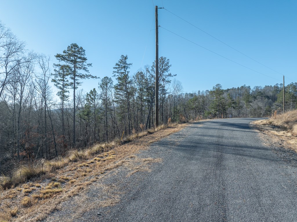 Lot 244 Spear Point Dr Property Photo 8