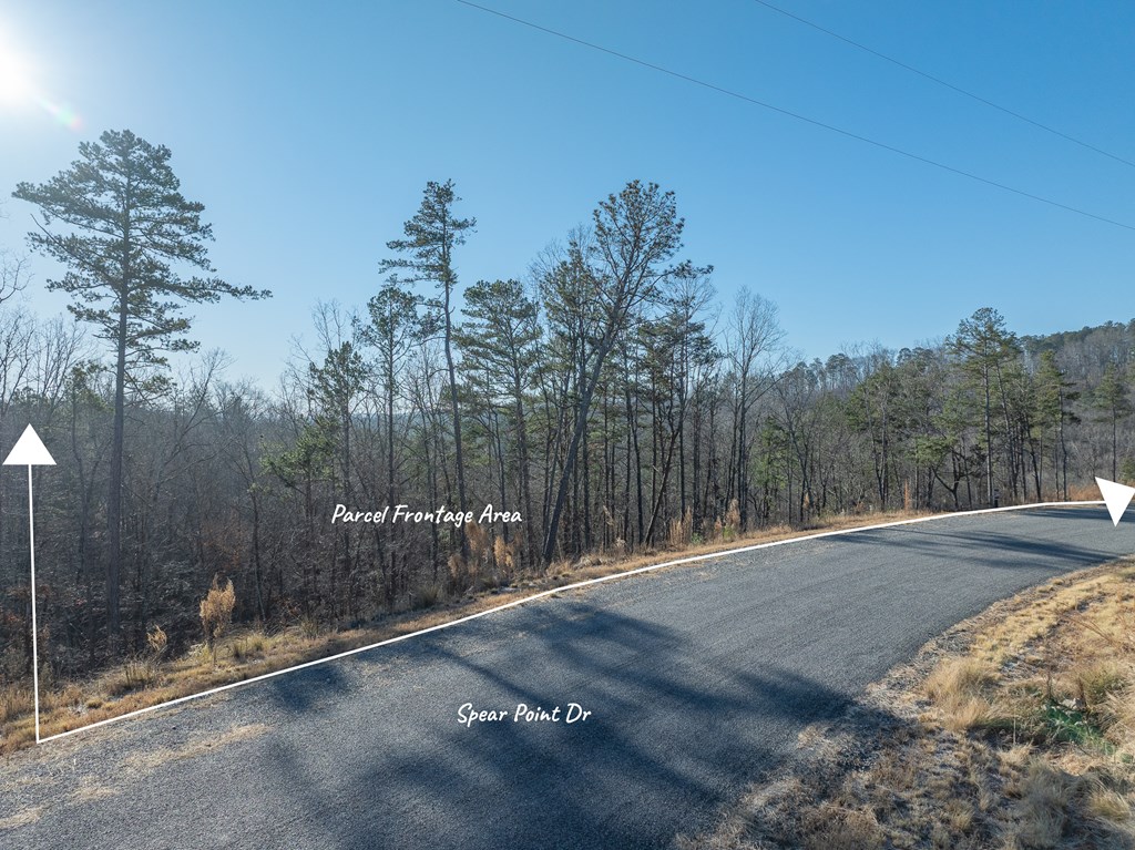 Lot 244 Spear Point Dr Property Photo 9