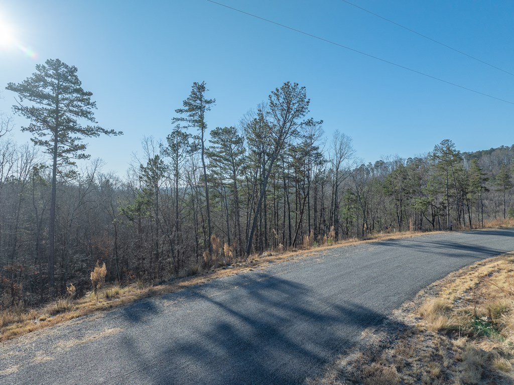 Lot 244 Spear Point Dr Property Photo 10