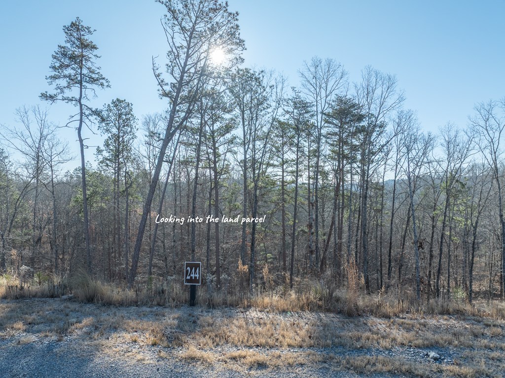 Lot 244 Spear Point Dr Property Photo 11