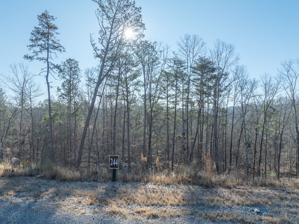 Lot 244 Spear Point Dr Property Photo 12