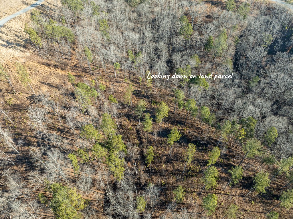 Lot 244 Spear Point Dr Property Photo 13