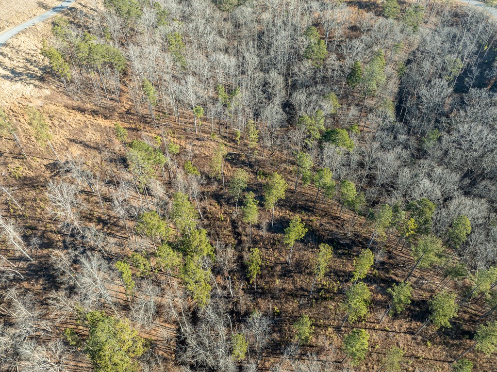 Lot 244 Spear Point Dr Property Photo 14
