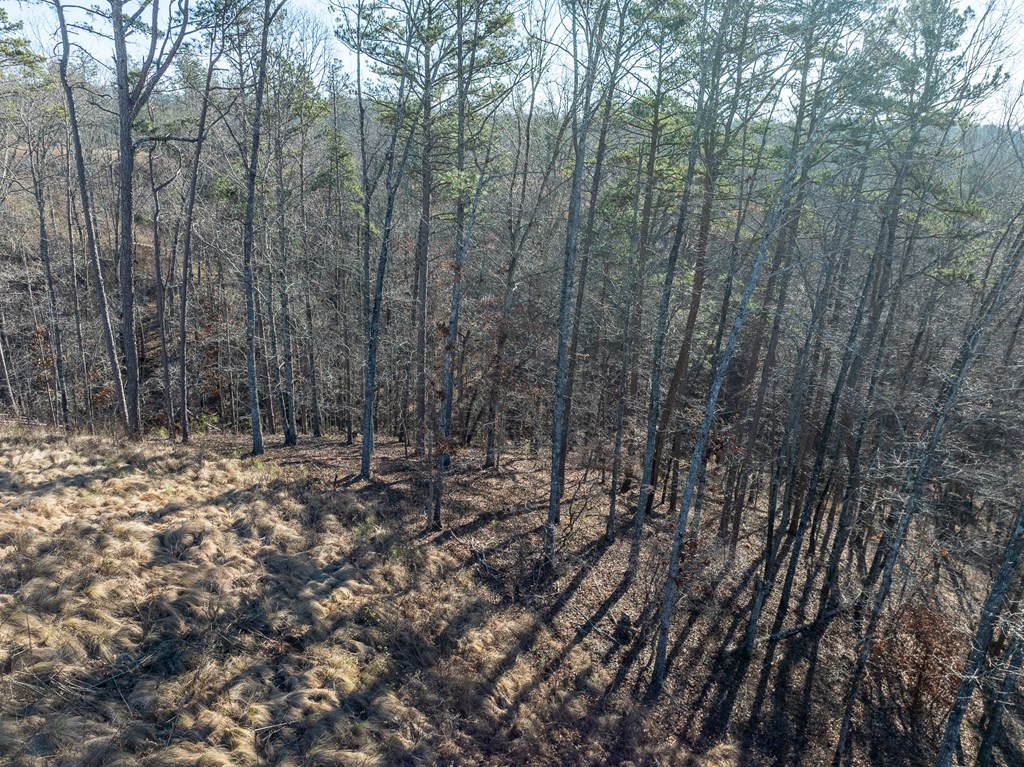 Lot 244 Spear Point Dr Property Photo 16