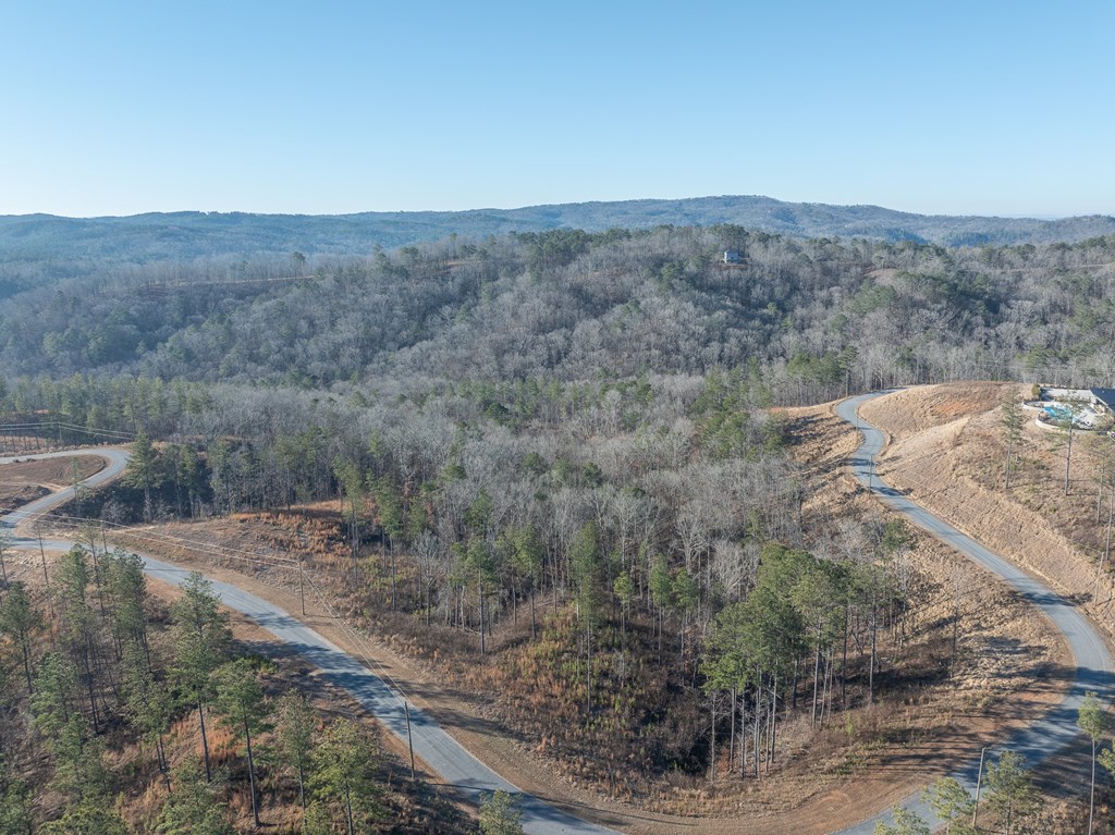 Lot 244 Spear Point Dr Property Photo 19