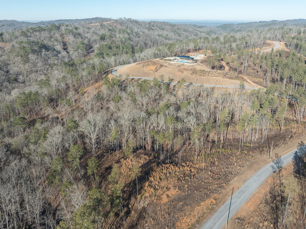 Lot 244 Spear Point Dr Property Photo 20