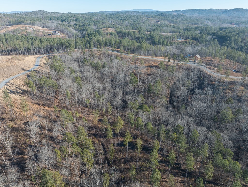 Lot 244 Spear Point Dr Property Photo 22