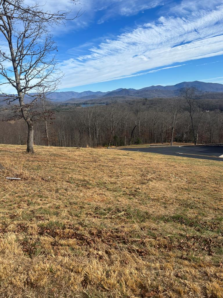Lot 24 Jack Groves Lane Property Photo 1