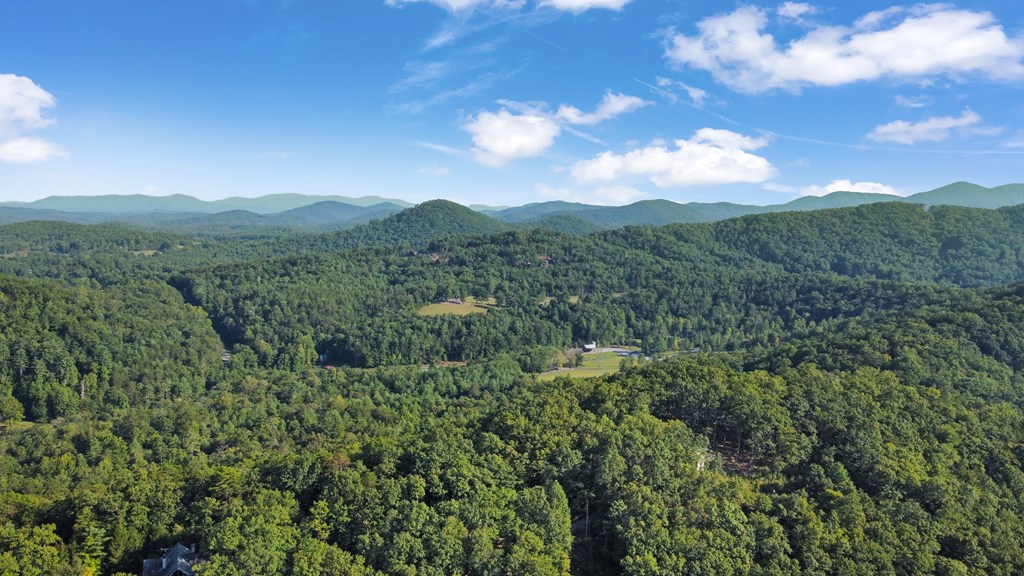 416 Millstone Mountain Lane Property Photo 41