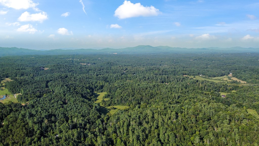 416 Millstone Mountain Lane Property Photo 43