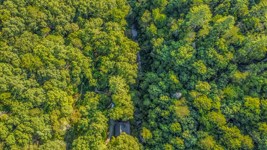 416 Millstone Mountain Lane Property Photo 44