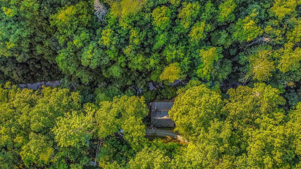 416 Millstone Mountain Lane Property Photo 45