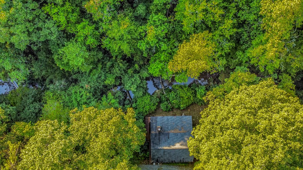 416 Millstone Mountain Lane Property Photo 46