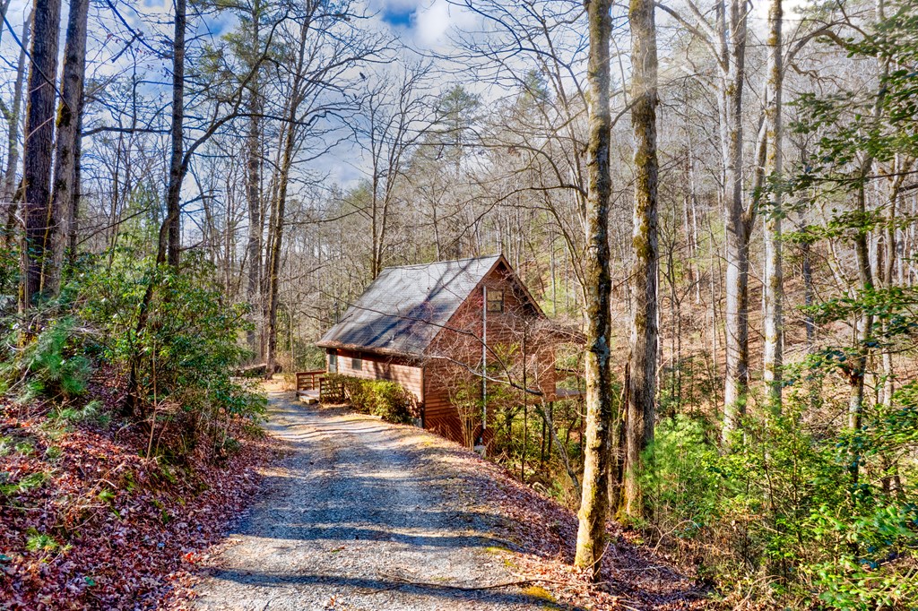416 Millstone Mountain Lane Property Photo 47