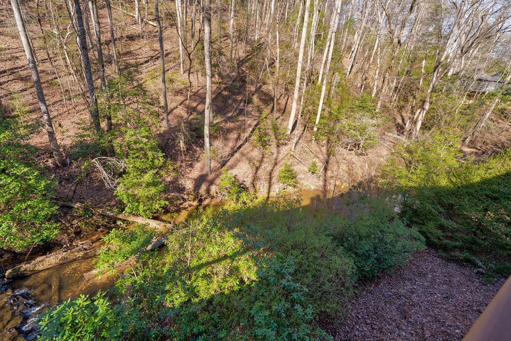 416 Millstone Mountain Lane Property Photo 52