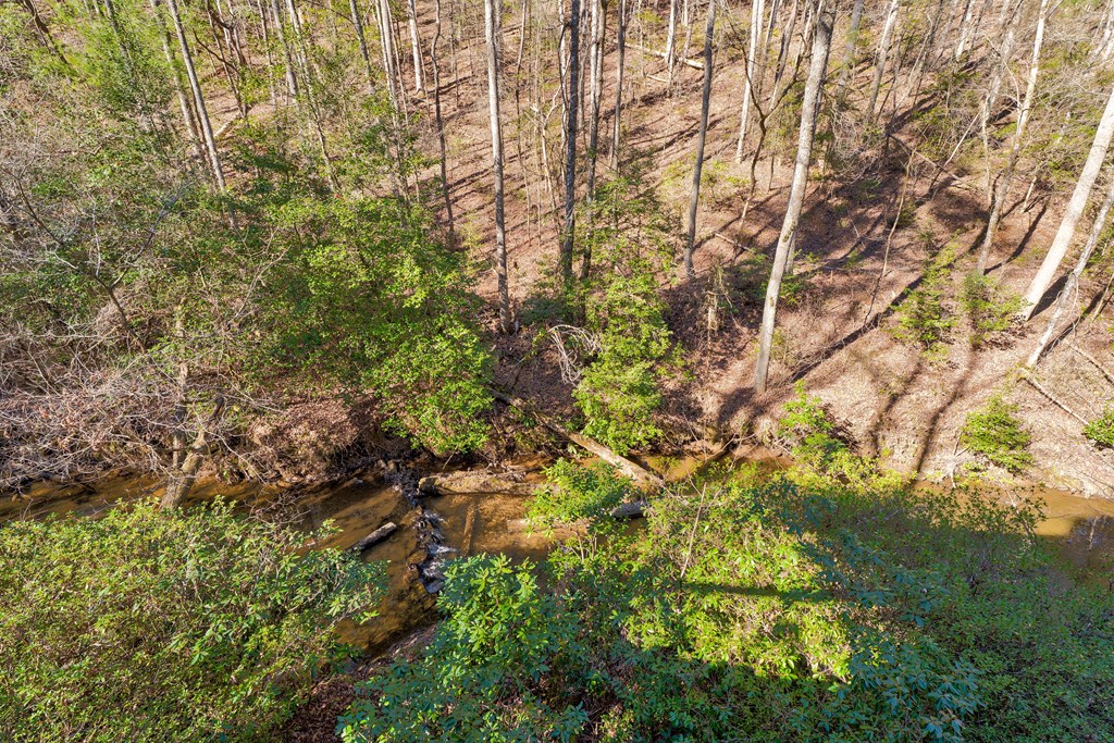 416 Millstone Mountain Lane Property Photo 53