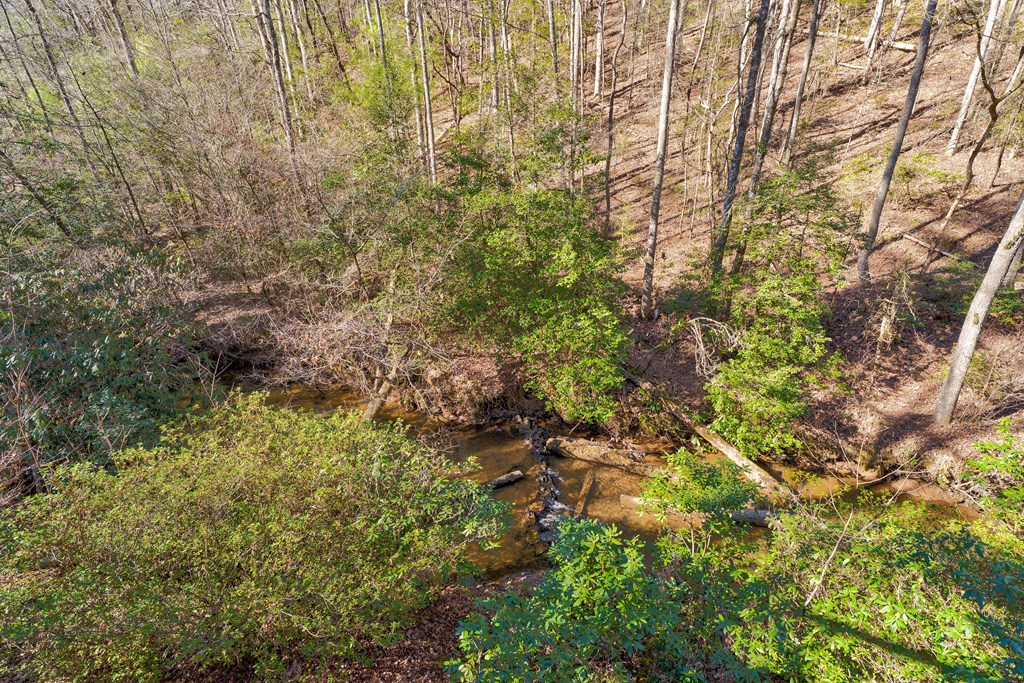 416 Millstone Mountain Lane Property Photo 54