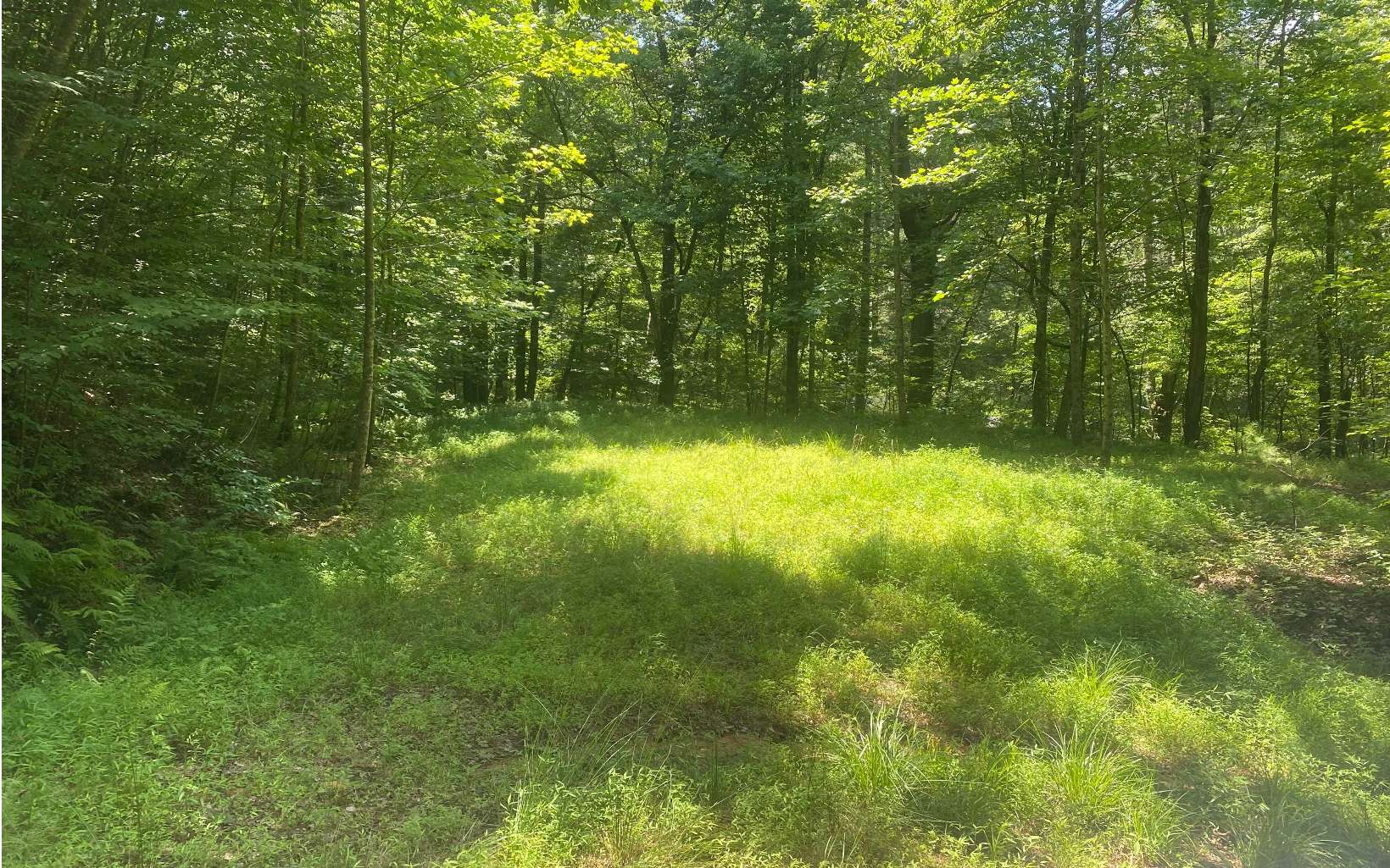 17.98 Ac Murphy Hwy Property Photo 2