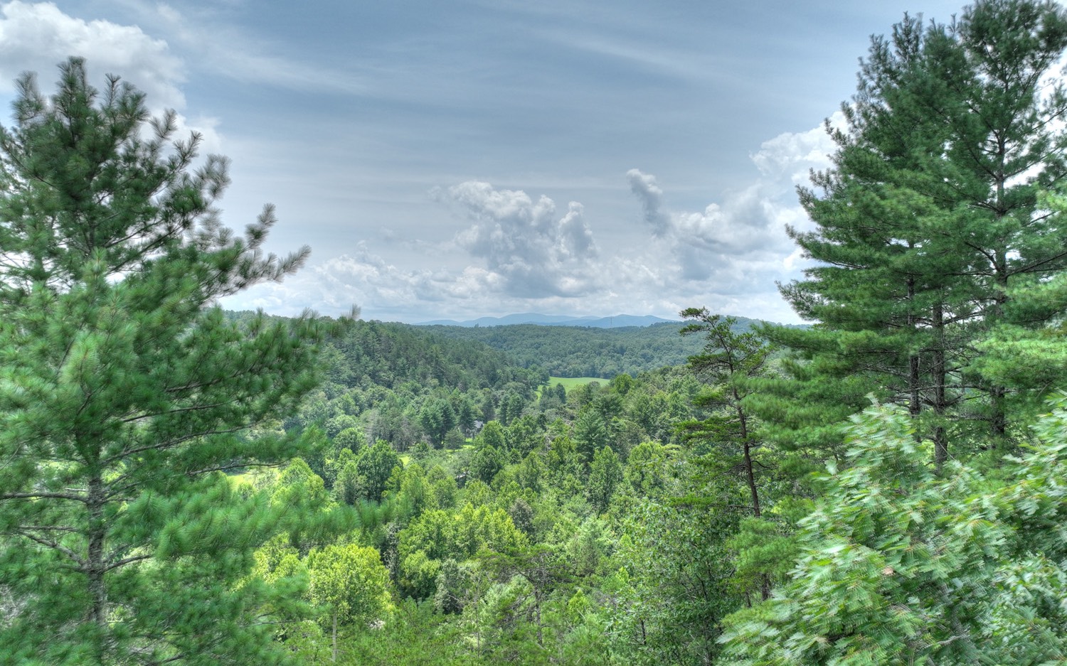 Lt 22 Rolling Hills Drive Property Photo 1