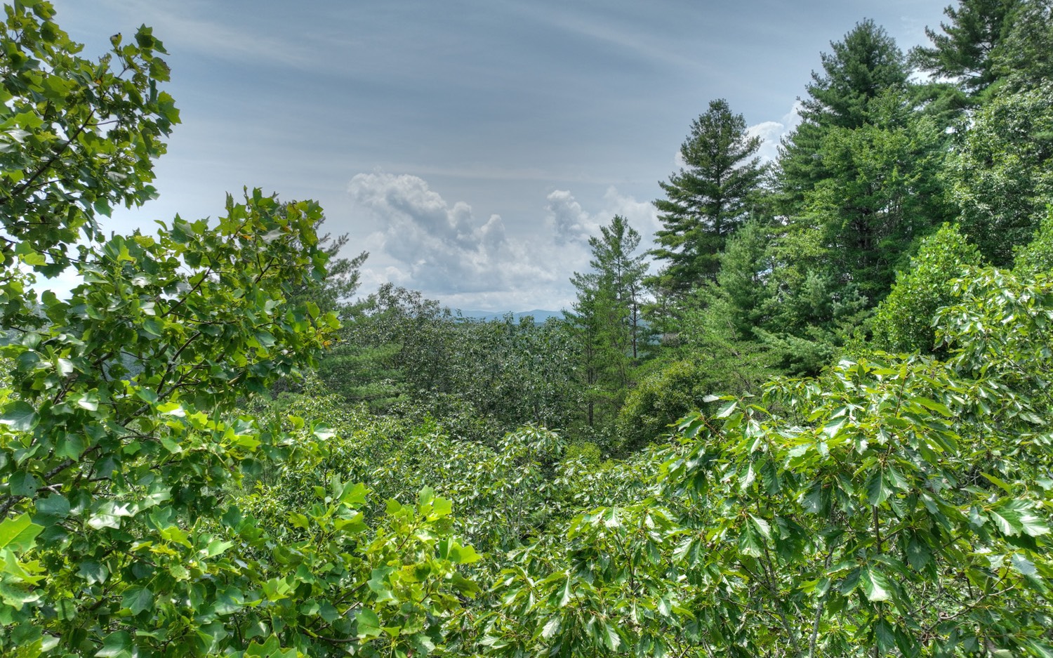 Lt 22 Rolling Hills Drive Property Photo 3
