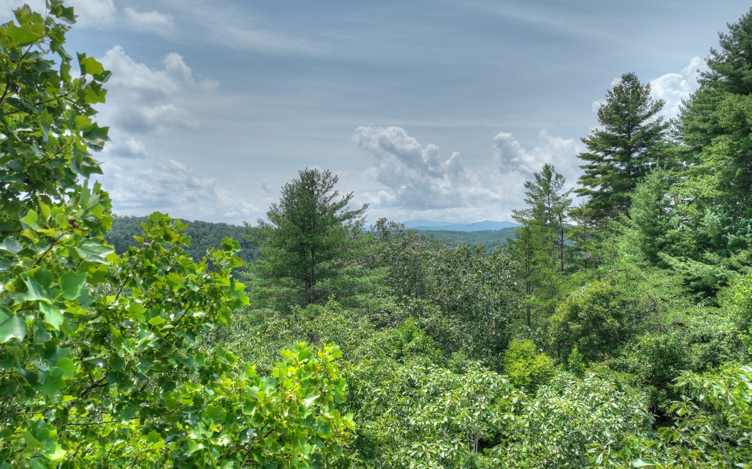Lt 22 Rolling Hills Drive Property Photo 10