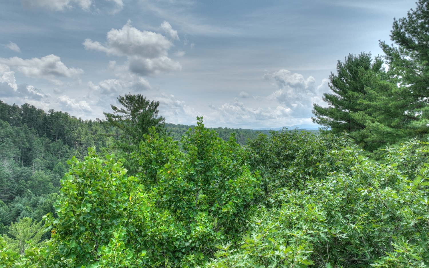 Lt 22 Rolling Hills Drive Property Photo 11