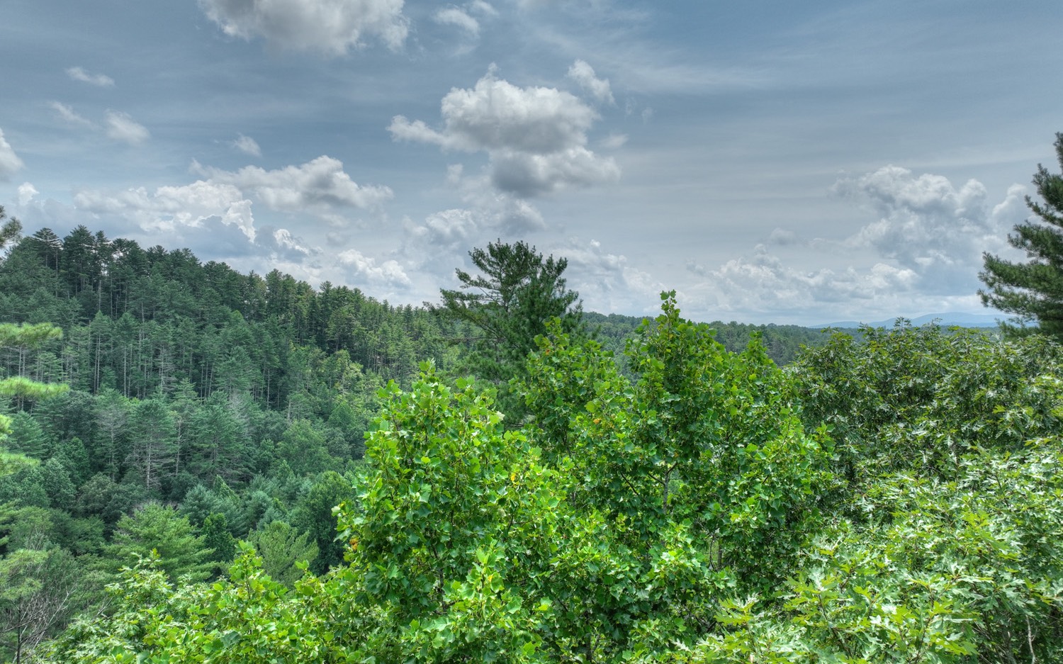 Lt 22 Rolling Hills Drive Property Photo 12