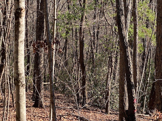5.91 Ac Sunrock Mtn Trace Property Photo 6