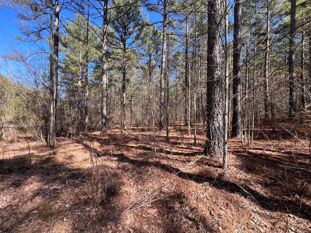Lot 50 Deyton Drive Property Photo 1