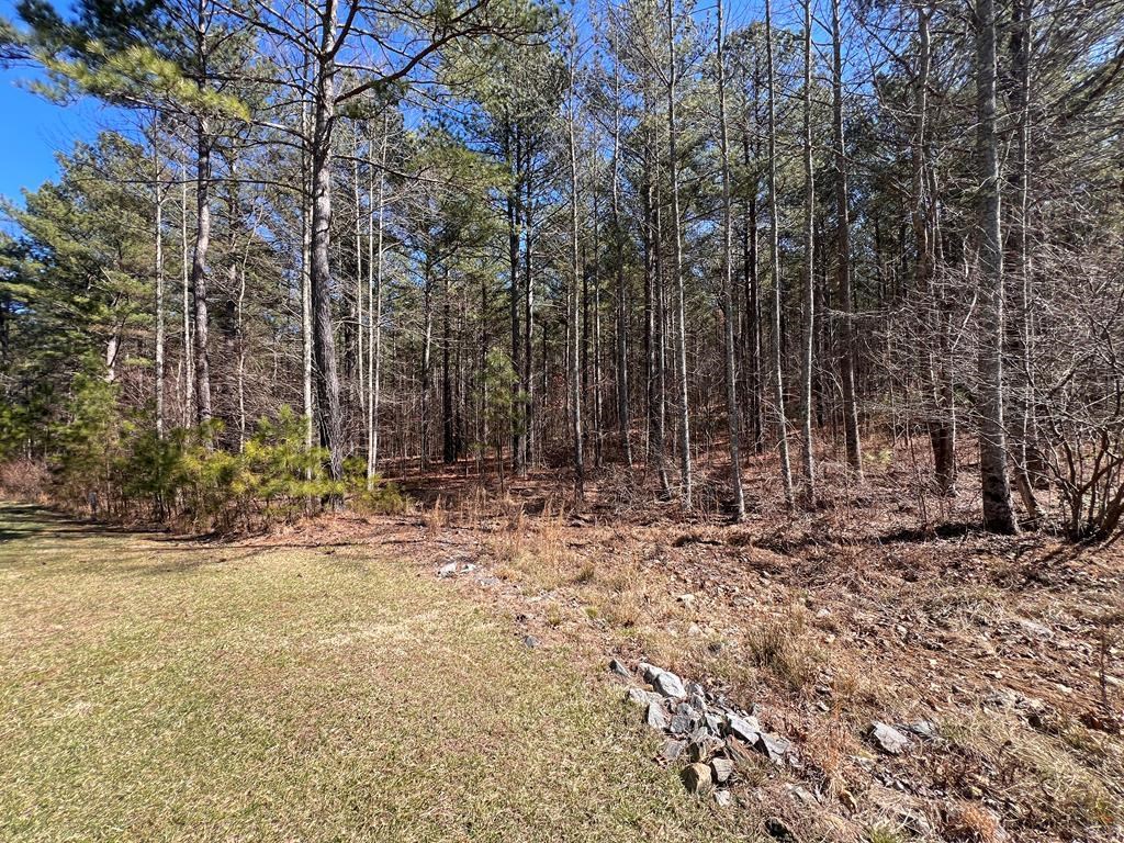 Lot 50 Deyton Drive Property Photo 2