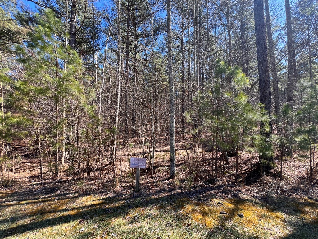 Lot 50 Deyton Drive Property Photo 4