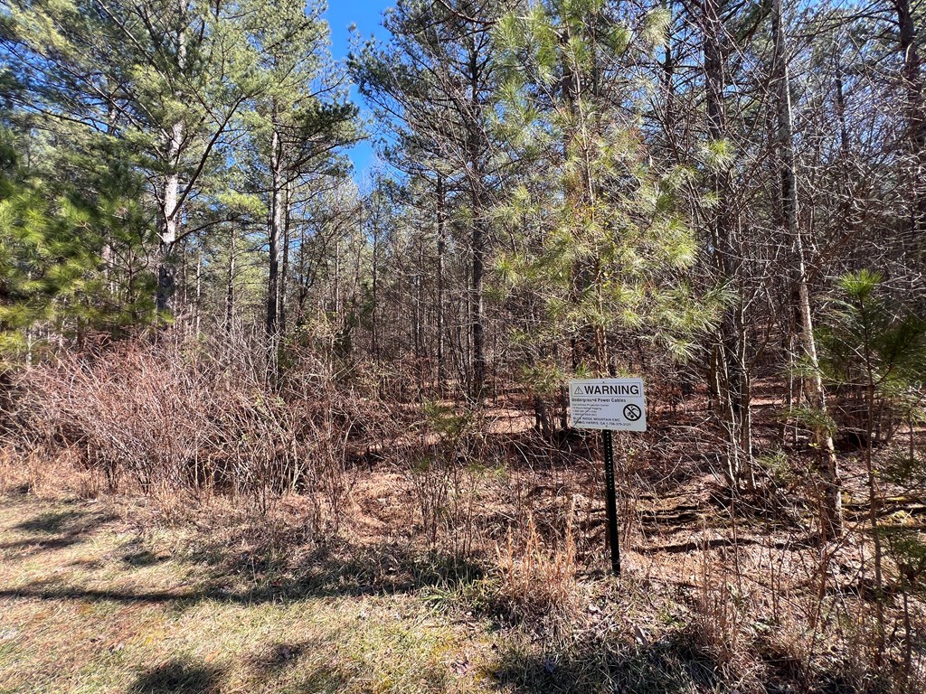 Lot 50 Deyton Drive Property Photo 5