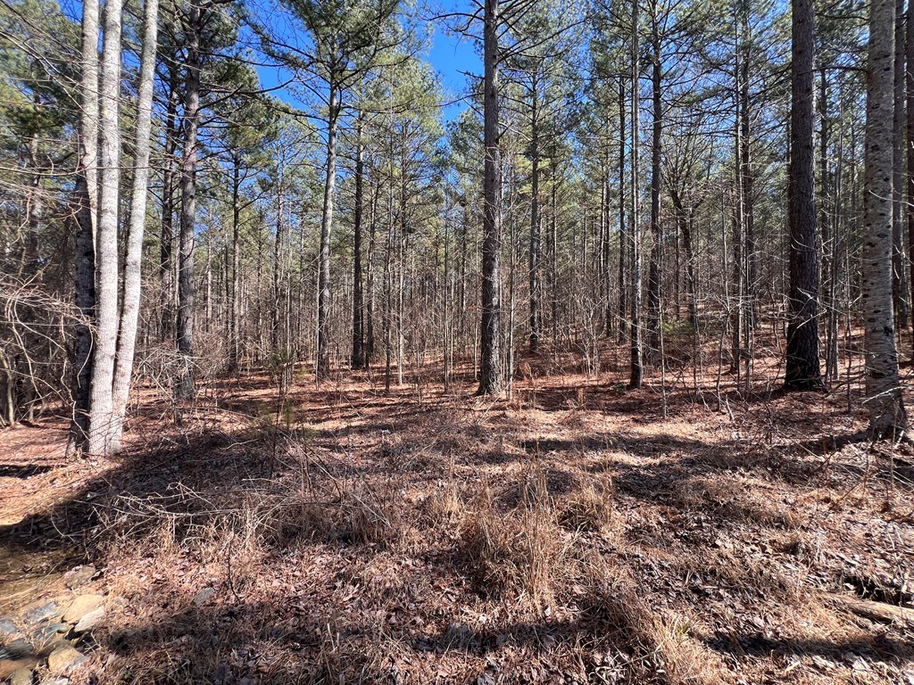 Lot 50 Deyton Drive Property Photo 7