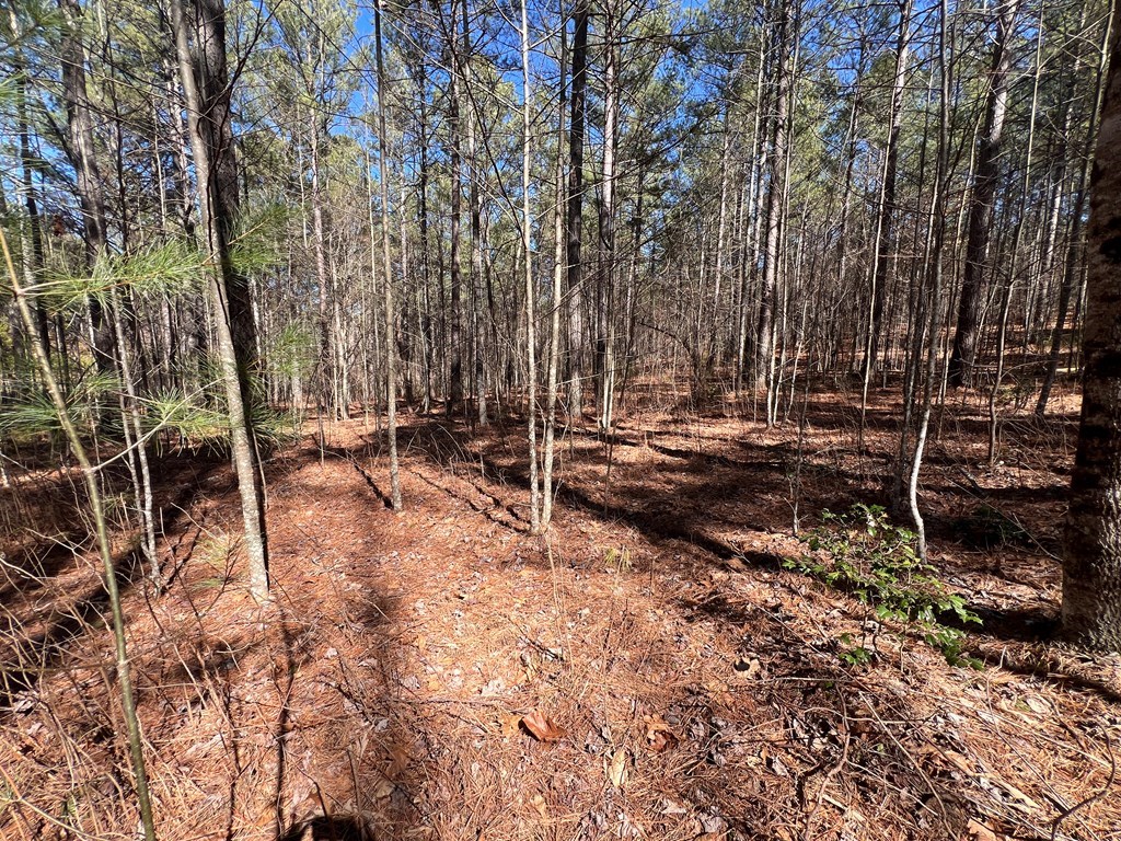 Lot 50 Deyton Drive Property Photo 11