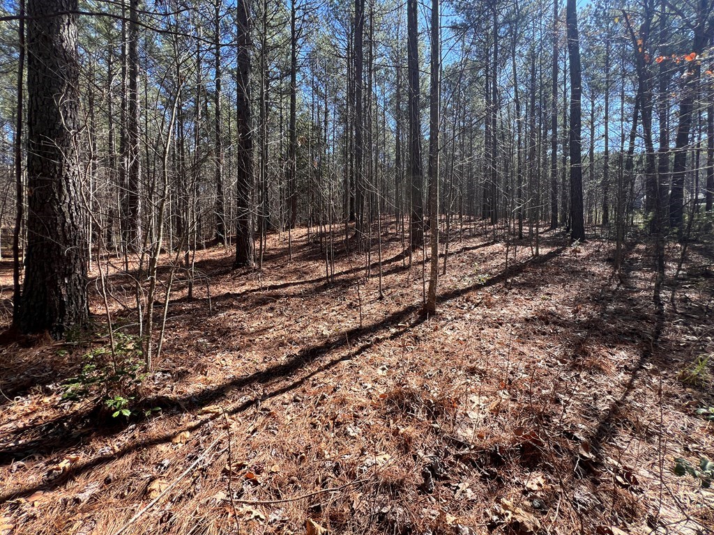Lot 50 Deyton Drive Property Photo 12