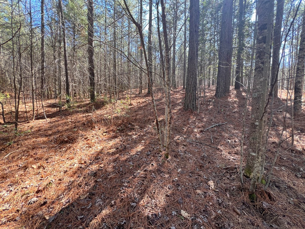 Lot 50 Deyton Drive Property Photo 14