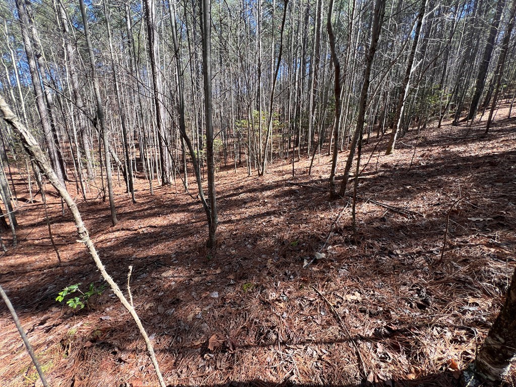 Lot 50 Deyton Drive Property Photo 16