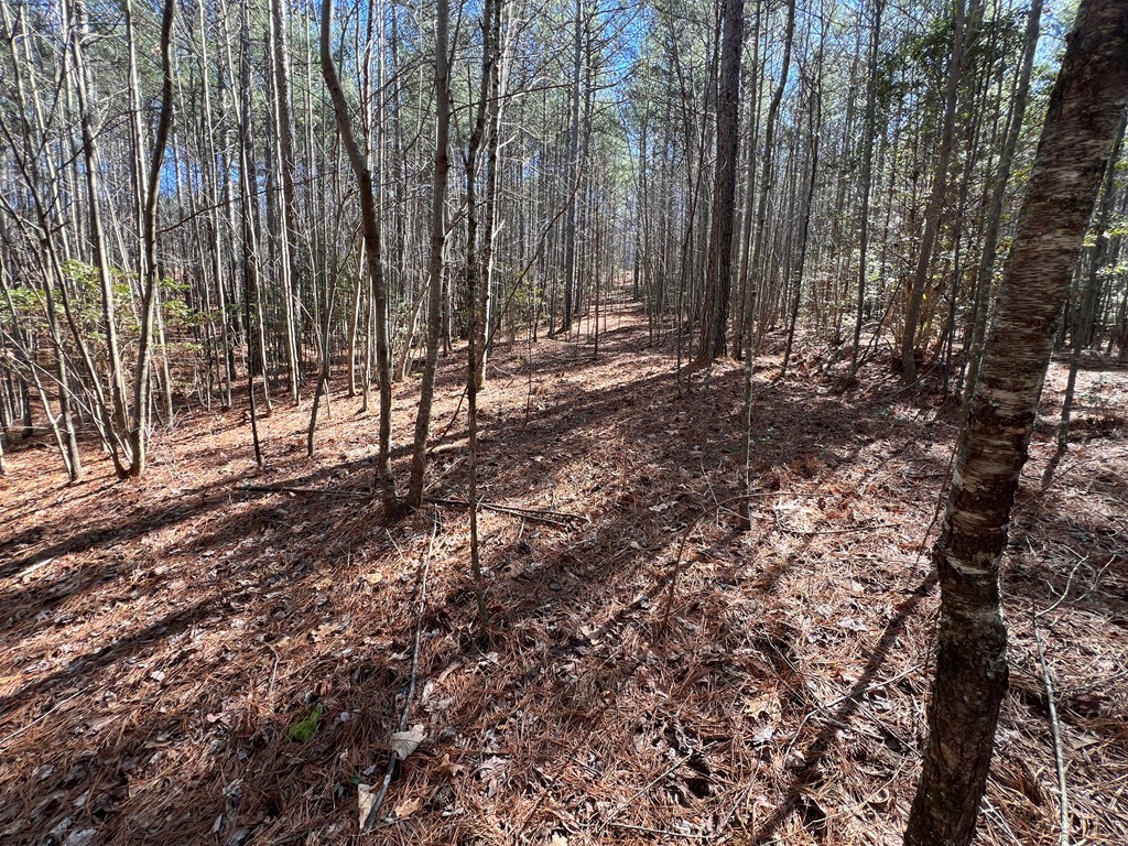 Lot 50 Deyton Drive Property Photo 17