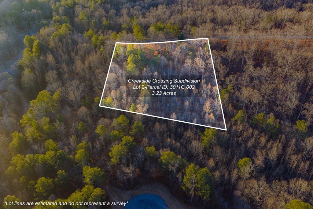 Lot 2 Blalock Mountain Road Property Photo 3