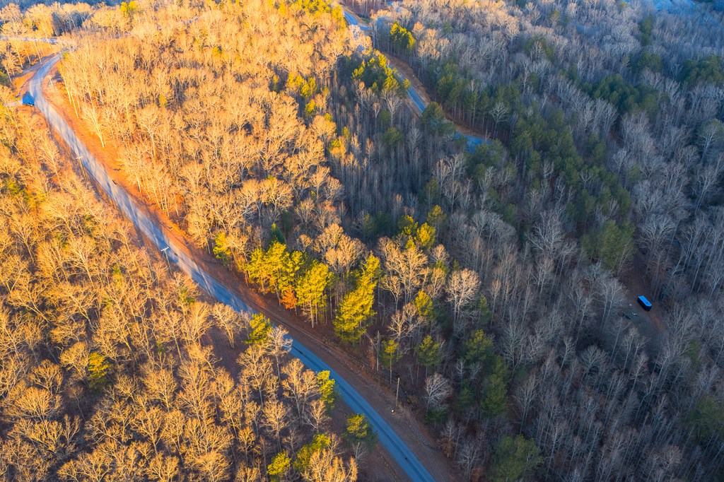 Lot 2 Blalock Mountain Road Property Photo 6