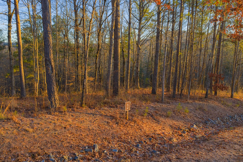 Lot 2 Blalock Mountain Road Property Photo 7
