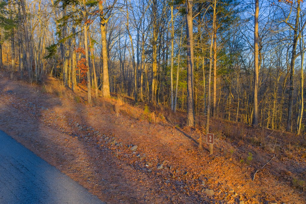Lot 2 Blalock Mountain Road Property Photo 8