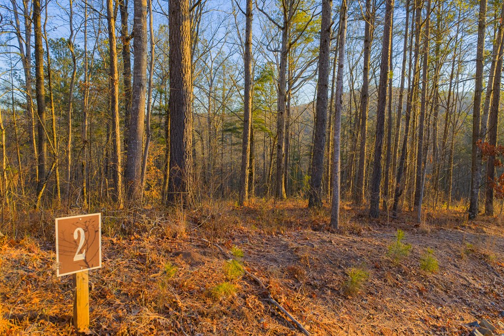 Lot 2 Blalock Mountain Road Property Photo 13