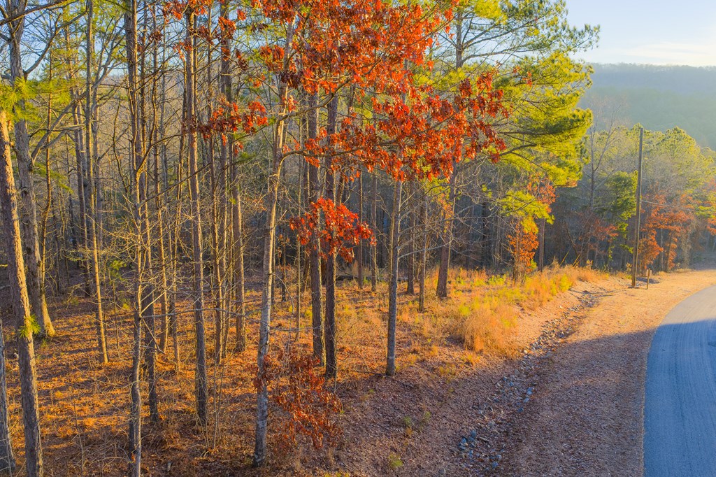 Lot 2 Blalock Mountain Road Property Photo 14