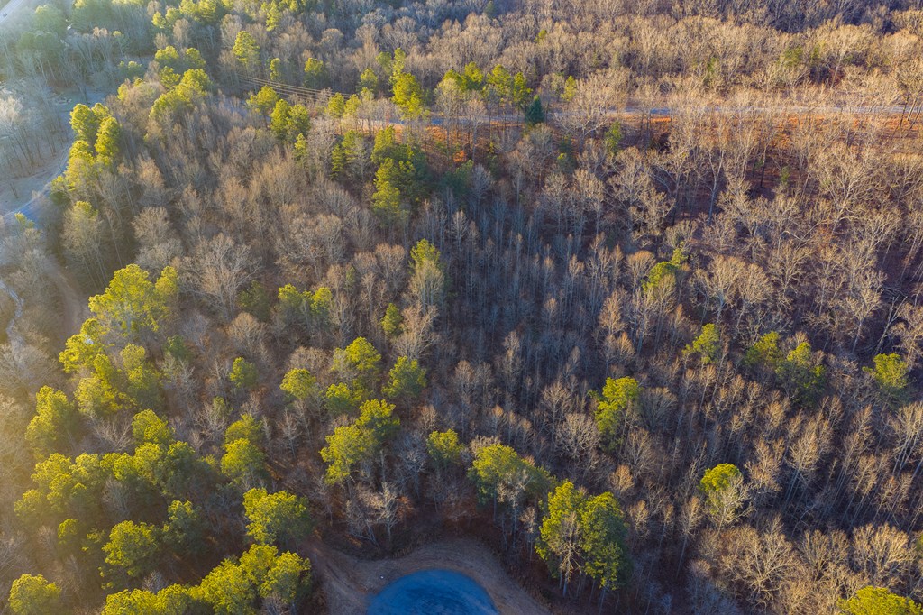 Lot 2 Blalock Mountain Road Property Photo 15