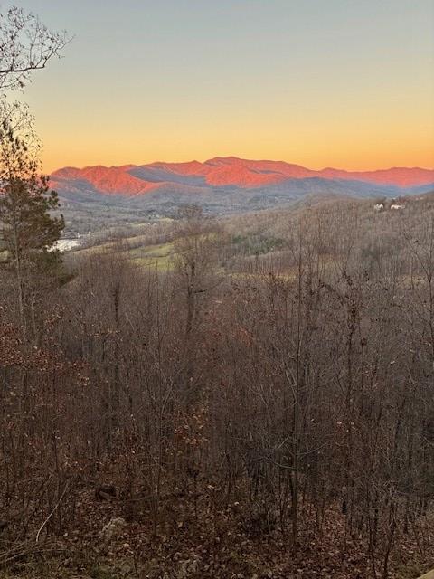 Lot 33 Eagles View Property Photo 1