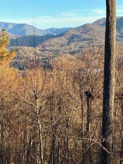 Lot 33 Eagles View Property Photo 2