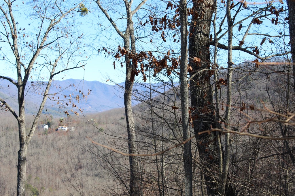 Lot 33 Eagles View Property Photo 3