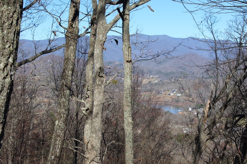Lot 33 Eagles View Property Photo 4